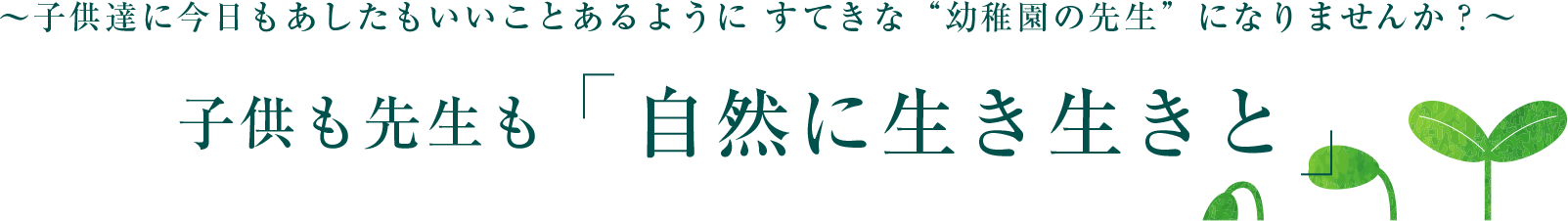 採用について