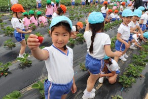 IMG_2751 - コピー